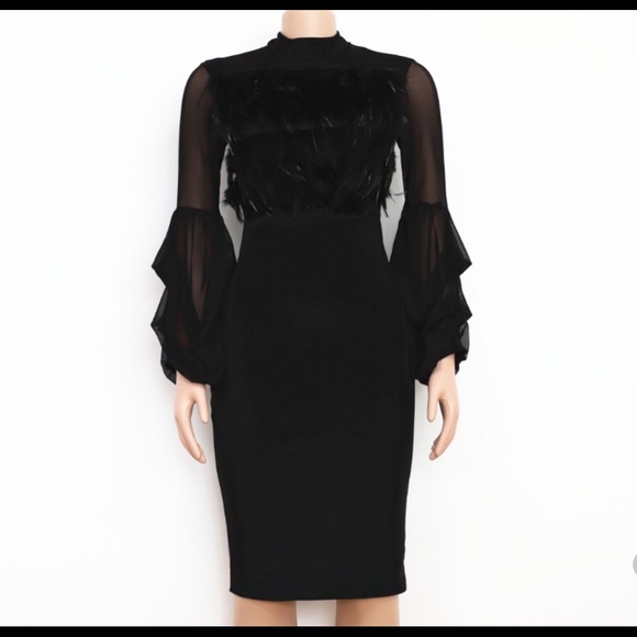 Feathered Black Dress - Picture 7 of 8